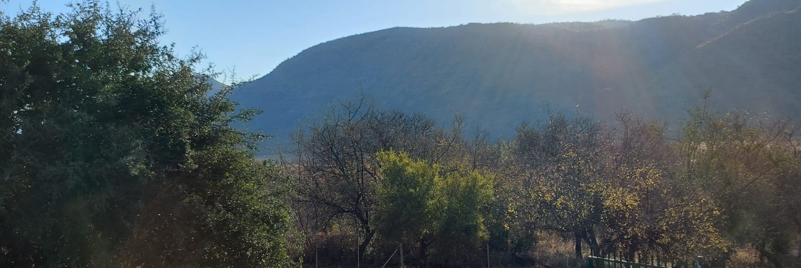 View from the deck of Crater Bush Villa